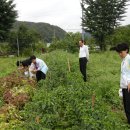 왕림농장 이미지