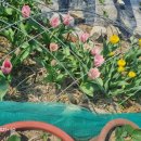 성립농장 이미지