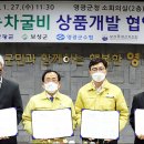 보성의영광