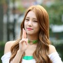 솔빈 카카오 검색결과