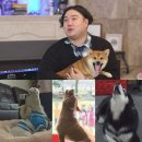 지연2농장 이미지