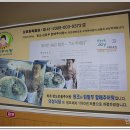 의성식당 이미지