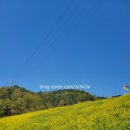 각화제(각화저수지) 이미지