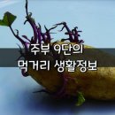 주부 구단의 먹거리 정보 이미지