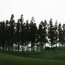 해비치 힐 이미지