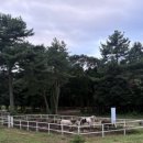 대한목장 이미지