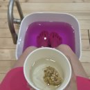 토닥토닥안마원 이미지