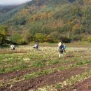 오병이어농장 이미지