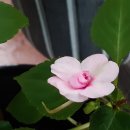 간동우체국 이미지