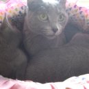 용호동물병원 이미지