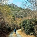 제60차 강진 남주작산(428m) 둘레길 봄꽃 탐방 이미지