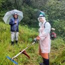 곡성-141 이미지