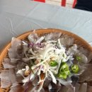동명항 | 속초 오징어난전 가격 꿀팁 시세 주차, 동명항 해금호 내돈내산 후기