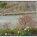 미랑목장 이미지