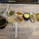 신기한물회나라