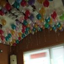 용인별바라기 이미지