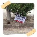 동울산세차장 이미지