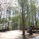 국립청옥산자연휴양림관리소 이미지