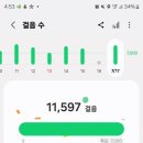 황간흑염소 - 구미시 | 황간흑염소