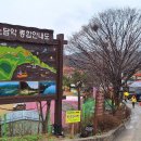 상춘농장 Daum카페