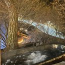 365오락실 이미지