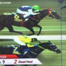 통산1목장 이미지