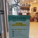 즐거운스즈키음악학원