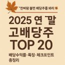 에이치비인터내셔날 | 찬바람 불면 배당주를 봐라 — 연말 배당으로 연말 보너스 챙기기