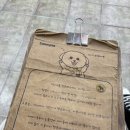 써니애견 | 홍대입구역 강아지카페 데이트 써니네애견카페