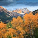 자연요양병원 이미지