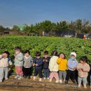 대성농장4 이미지