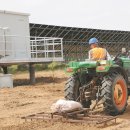 초원태양광발전소 이미지