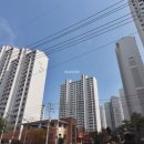 늘푸른공인중개사사무소 이미지