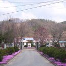 양지1리 이미지