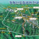 제177차 봉화 청량산 870m 이미지