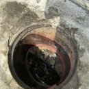 하단2동-1 이미지