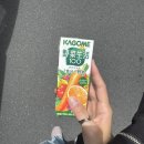 소다미술관 | 가운데의 도쿄! 요요기 우에하라 맛집 Path 웨이팅 후기/도쿄 카페 추천 일본근대문학관 분단커피/국립...