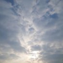 교현안림동사무소 이미지