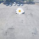 풍림위너스빌딩 이미지