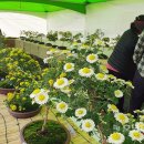 영광군농업기술센터 이미지