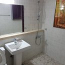 유자사우나 이미지