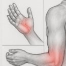 역삼생생본의원·한의원 | 역삼역 정형외과 생생본의원 그리고 한의원