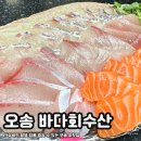 오송 바다회수산 | 쫀득한 모듬회 한 접시 맛본 내돈내산 찐 후기