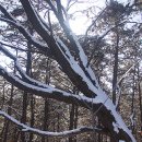 환한세상
