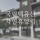 (사)산림문화휴양협회 | [전북 무주] 덕유산자연휴양림_휴양관 4인실 채송화 아이랑 여행 후기(+두고 온 물건 찾는법)