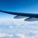 고도리몰 이미지