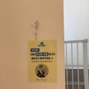 헬로우버디 판교밸리점 이미지