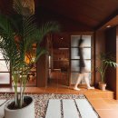 수피아제주 이미지