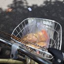 우리힐약국 | [베트남_다낭] 30개월 아기랑 ; 바나힐, 호이안, 프라이빗 택시투어, 벨마리아나리조트 💘