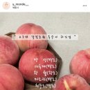 달빛농원 이미지